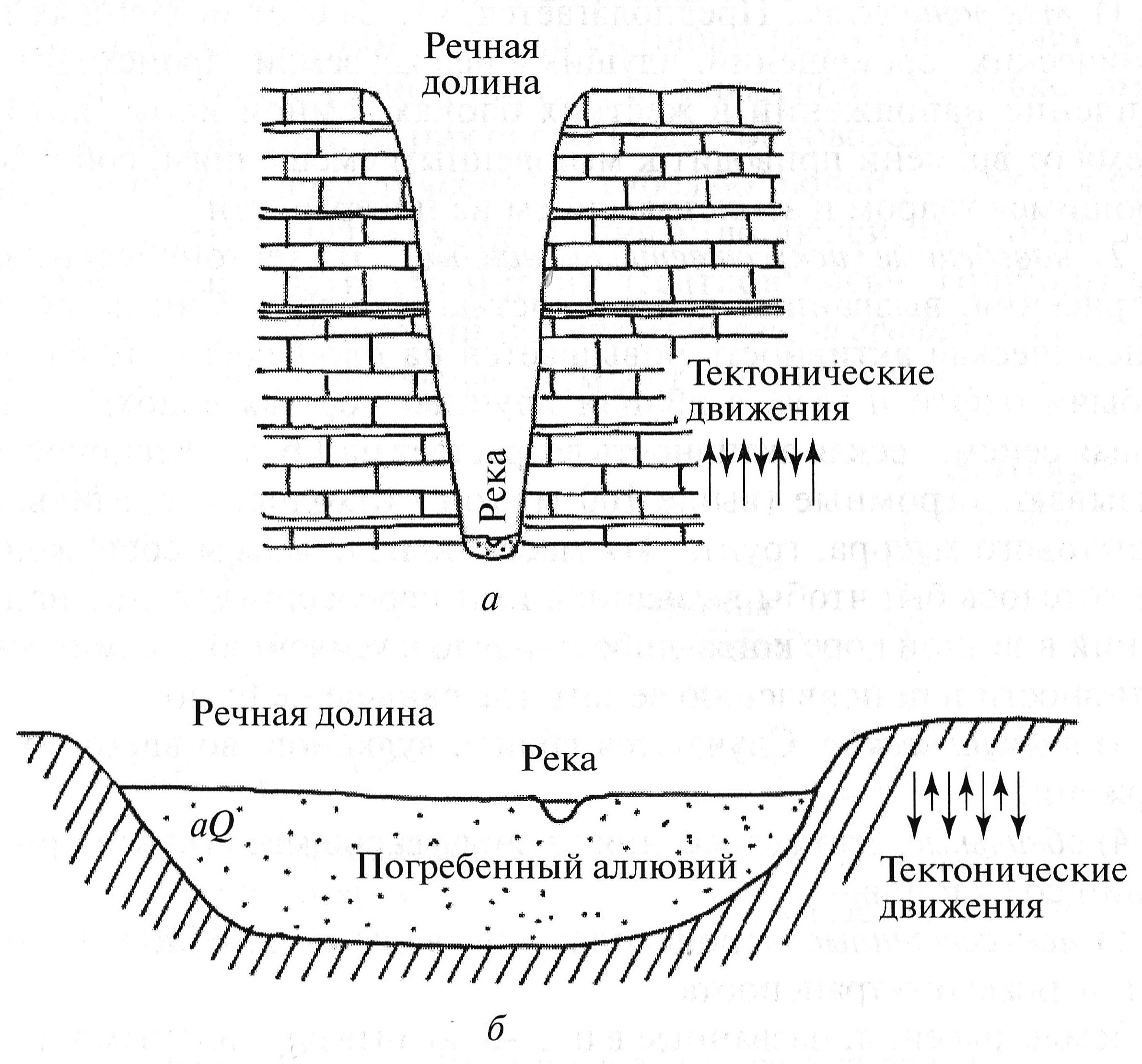Основные формы тектонических движений